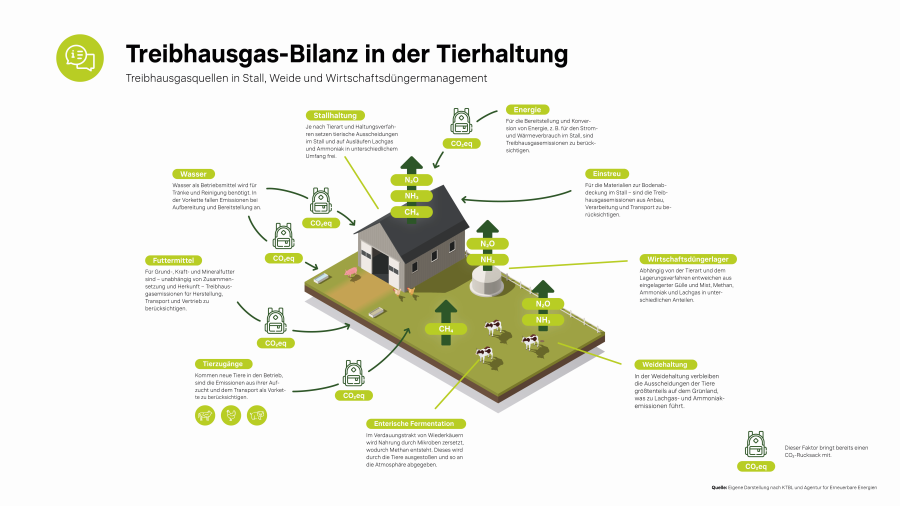 Treibhausgas-Bilanz in der Tierhaltung
