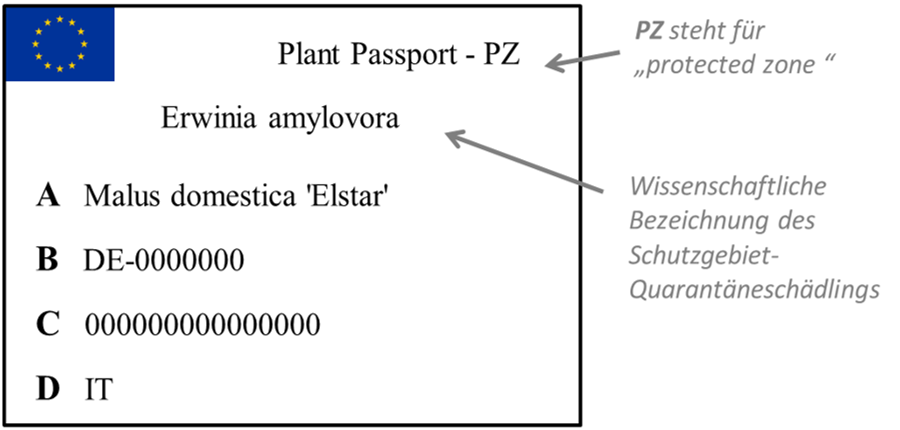 Pflanzenpass für Schädlinge