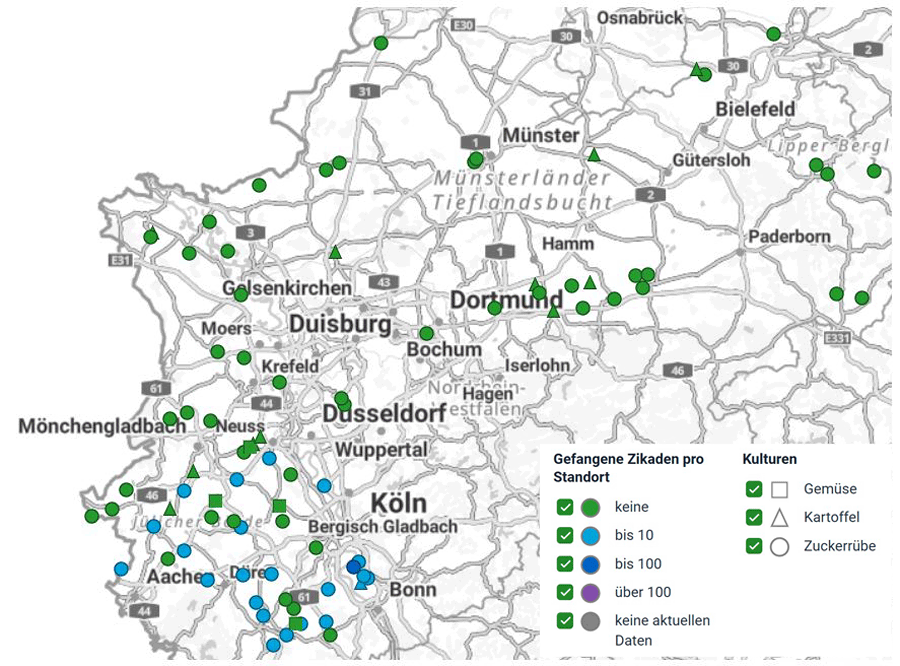 Abb. 16: Fangzahlen in NRW