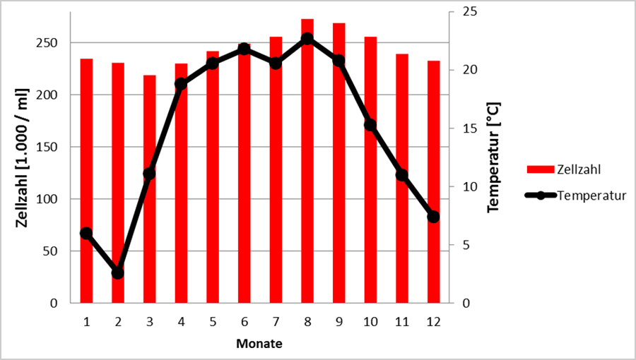 Zellzahl in Abhängigkeit von der Temperatur