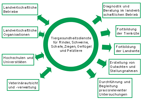 Aufgaben des Tiergesundheitsdienstes