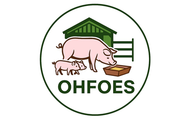 Logo OHFOES
