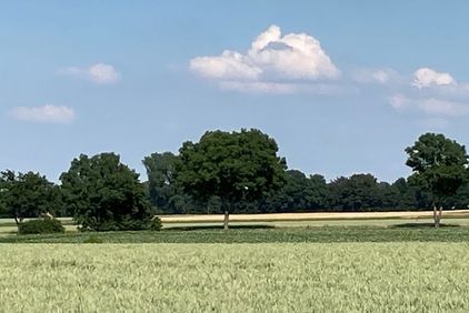 Foto: H. Gerwin-Wegener