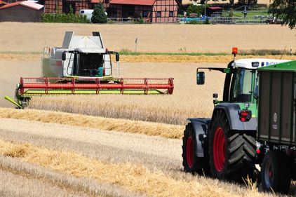 Foto: M von Lieres©Stock.Adobe.com