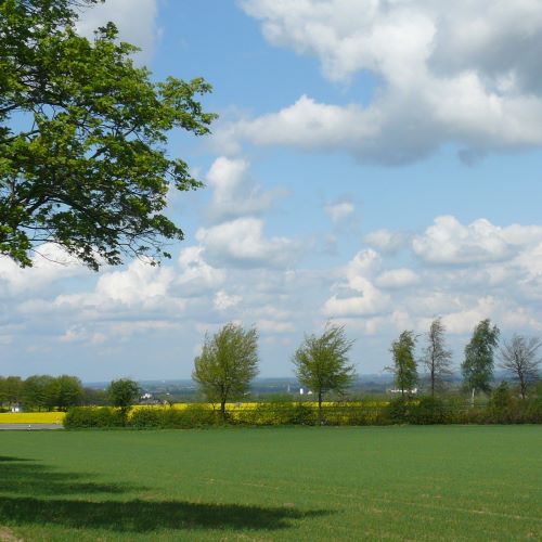 Foto©H. Gerwin-Wegener