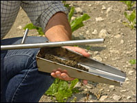 Bodenprobe abstreifen