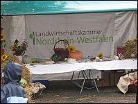 Infostand
