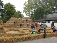 Strohburg