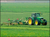 Gras schwaden