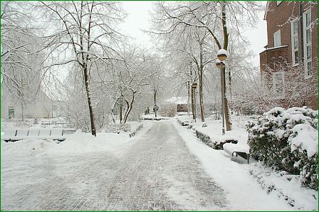 Riswick im Winter