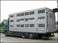 Tiertransporter