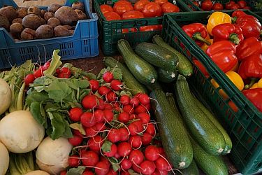 20 Jahre Riswicker Bauernmarkt 19