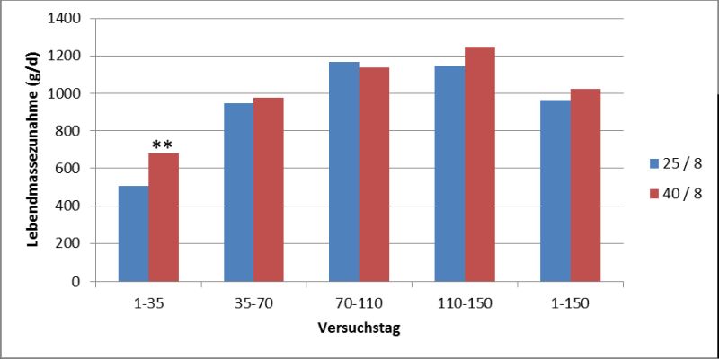 Abb. 3: Tägliche Zunahmen in ausgewählten Versuchsabschnitten in den 8 Liter Gruppen (** = p<0,01)