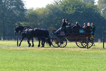 Kutschfahrten rund um die Versuchsweiden von Haus Riswick