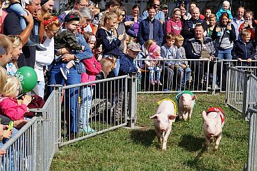 Familientag und Kreistierschau 2018 Foto_JD (11)