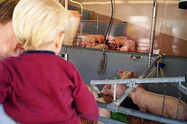 Familientag und Kreistierschau 2018 Foto_JD (8)