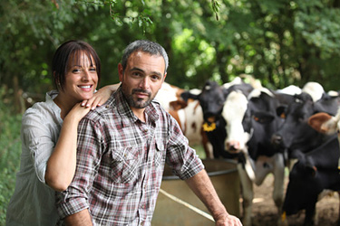 Landwirtfamilie mit Kühen