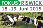 FOKUS RISWICK 2015