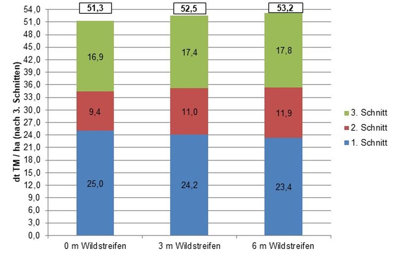 Abbildung 5: Entwicklung des Trockenmasseeertrages in Abhängigkeit der Breite des Rückzugsstreifens (nach 3 Schnitten)