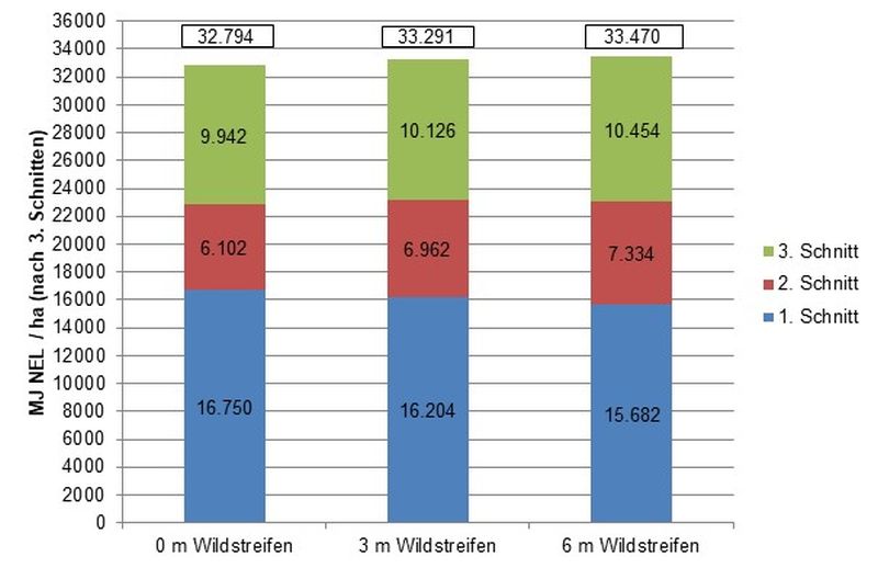 Abbildung 7: Gesamtenergiertrag je ha nach drei Schnitten in Abhängigkeit der Breite der Rückzugsstreifen