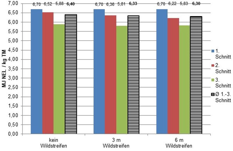 Abbildung 8: Energiedichte in MJ NEL / kg TM bezogen auf die ganze Fläche über die ersten drei Schnitte