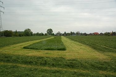 Abbildung 1: Rückzugsstreifen bei der Ernte des ersten Schnittes