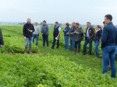 Im Rahmen eines Praxisversuches machte Pflanzenbauberater Klaus Theobald von der Landwirtschaftskammer deutlich, dass vor allem früh gesäte Zwischenfrüchte einen hohen Stickstoffbedarf haben.