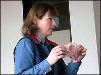 Fleischsaftprobe